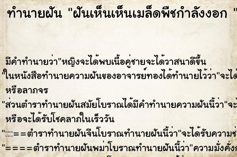 ทำนายฝัน ฝันเห็นเห็นเมล็ดพืชกำลังงอก  ตำราโบราณ แม่นที่สุดในโลก